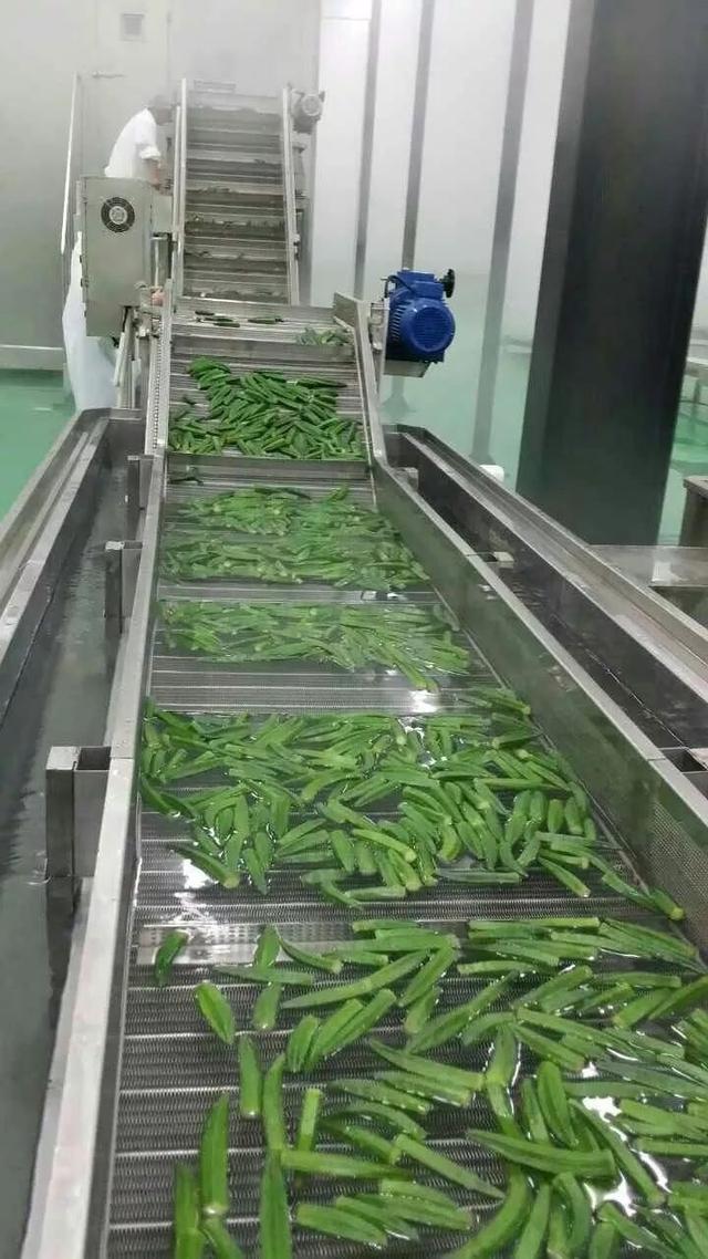 山东农产品深度加工让农业成为有奔头的产业