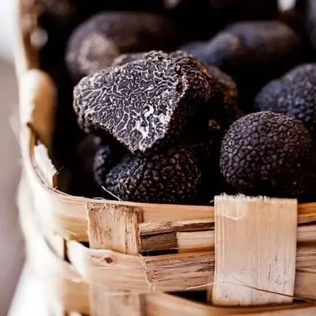 黑松露,松茸,火腿.咸香丰腴的滇派月饼,纽约也有了!