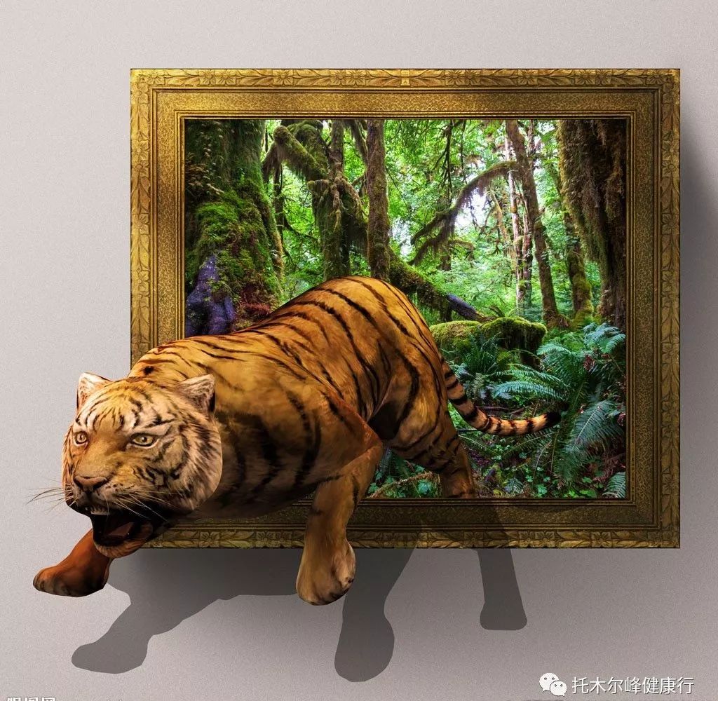 让我们欣赏一下3d绘画