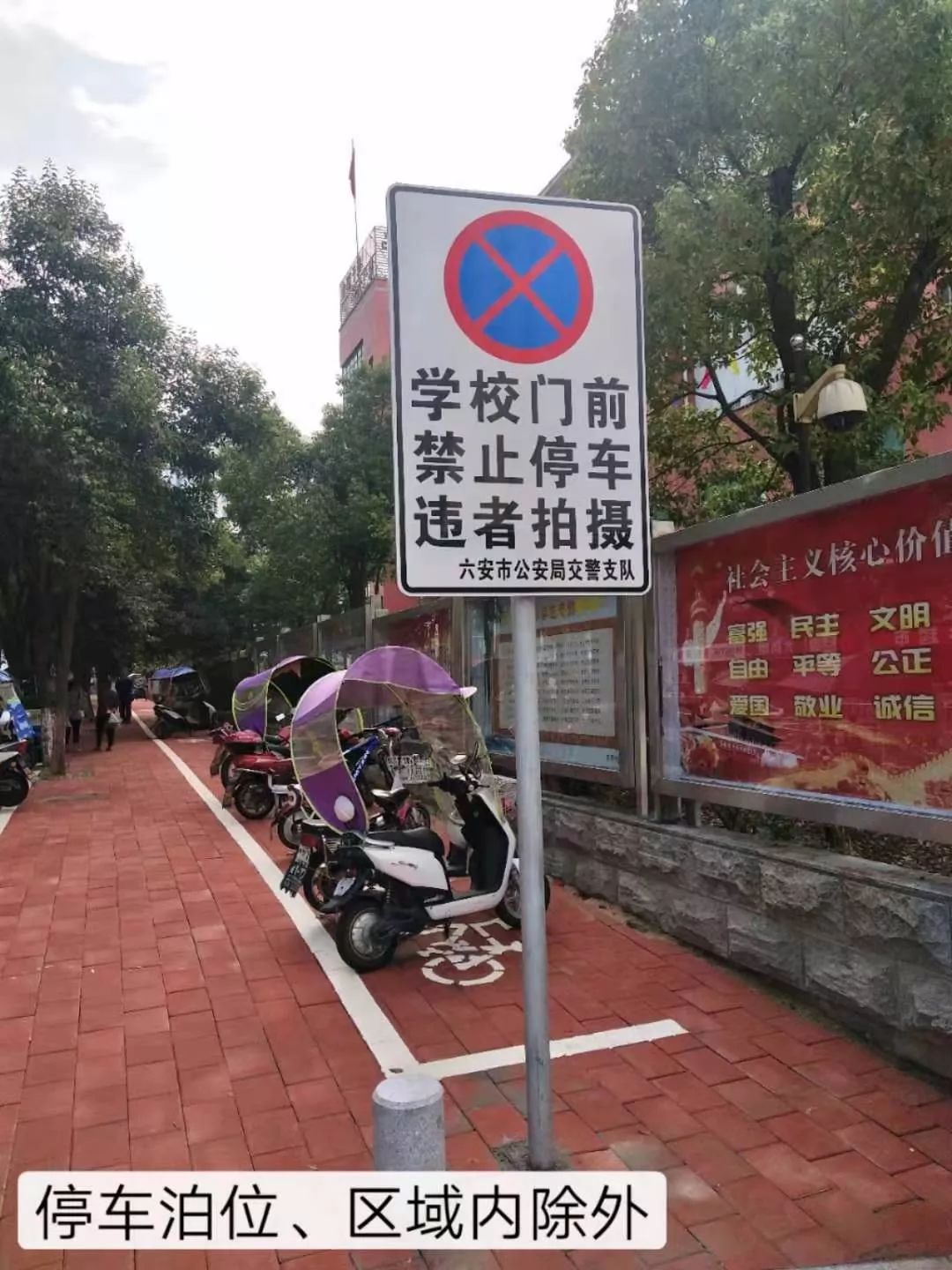 在停车泊位,区域内停车,必须按箭头指示顺向停车,按交通标志标线指示