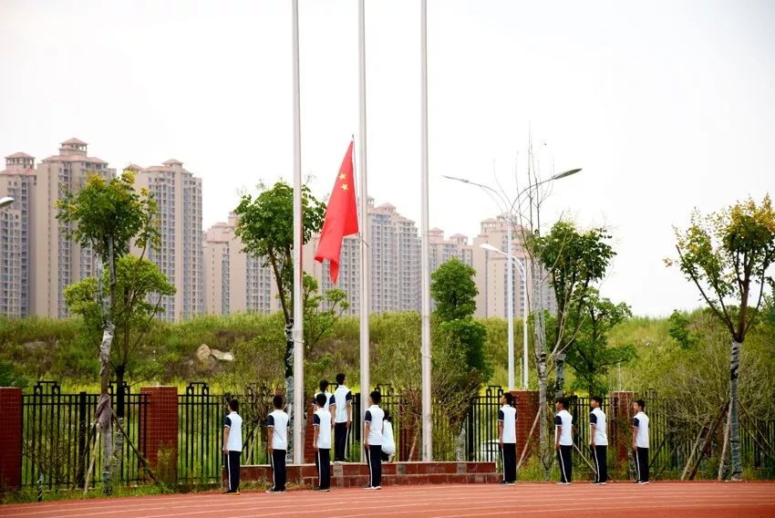 襄阳三十三中图片