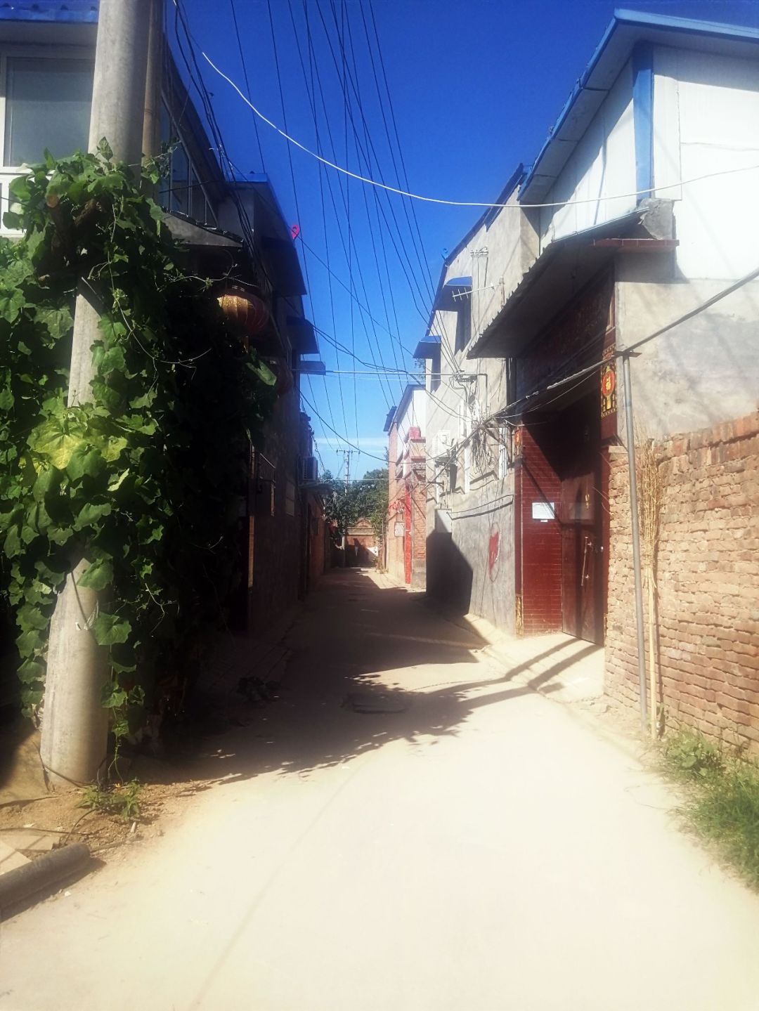 濮阳这个城乡交界村一个胡同顶别村一条街真大