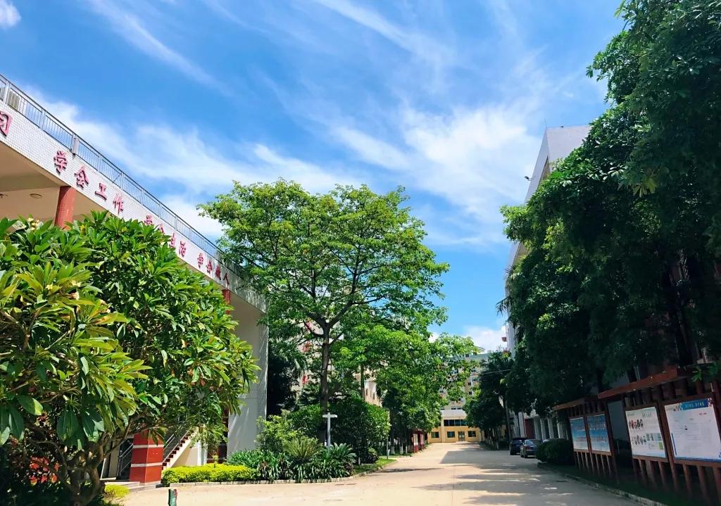 惠州市崇雅实验学校高中部惠州综合高级中学招聘教师公告