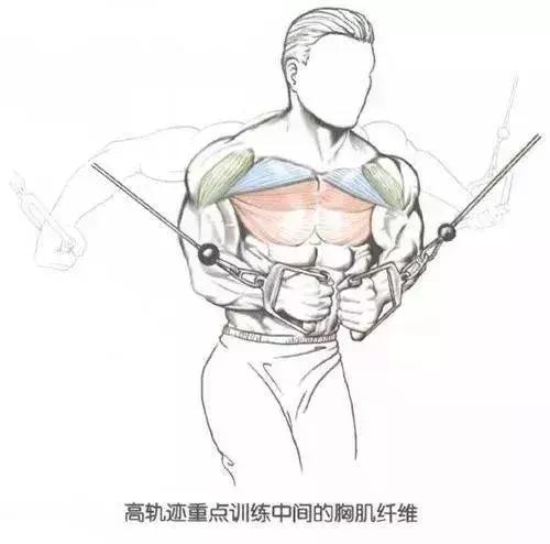 胸肌中缝怎么练我想要好看的胸型