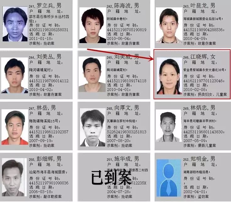 紫金这名女子被海丰警方通缉,涉拐卖妇女,儿童案_江晓辉