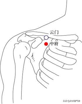 云门穴也很好找,在锁骨下面有一个三角窝,云门穴就躲在这个窝里头.