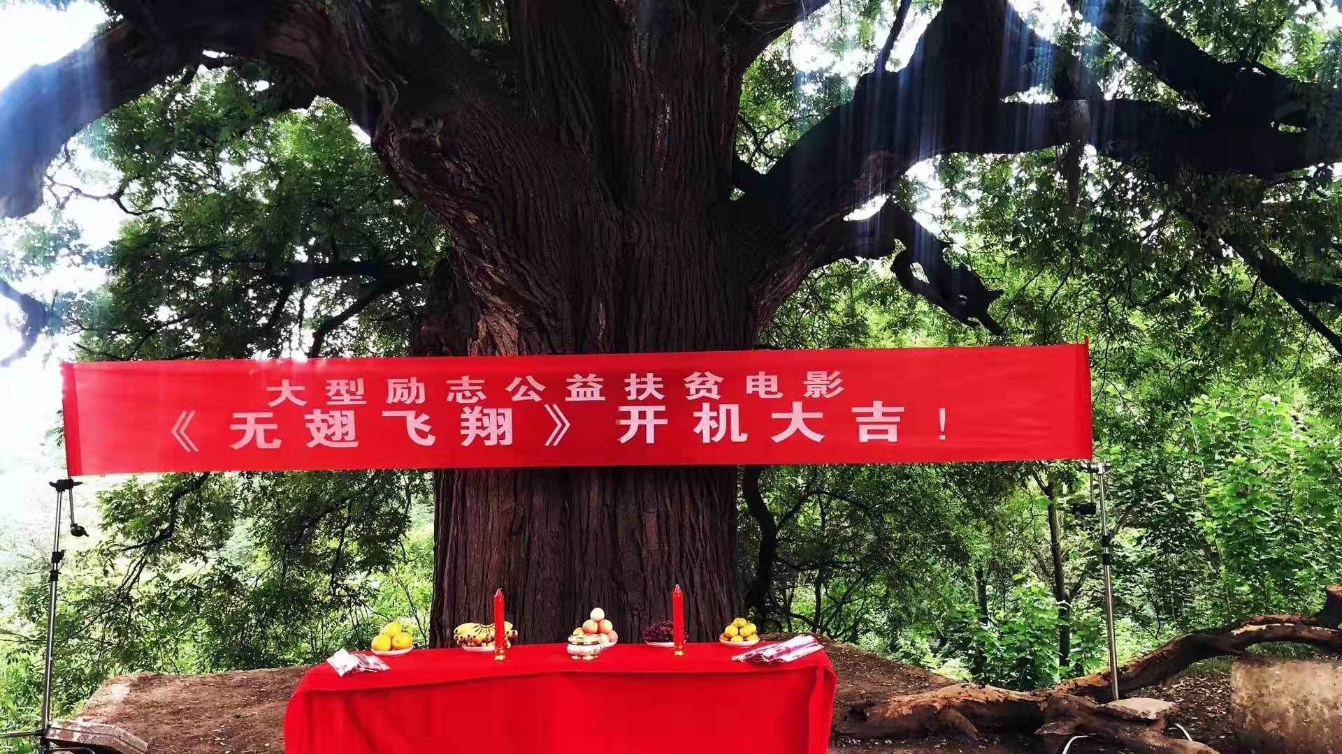 电影《无翅飞翔》正式在咸阳开机拍摄