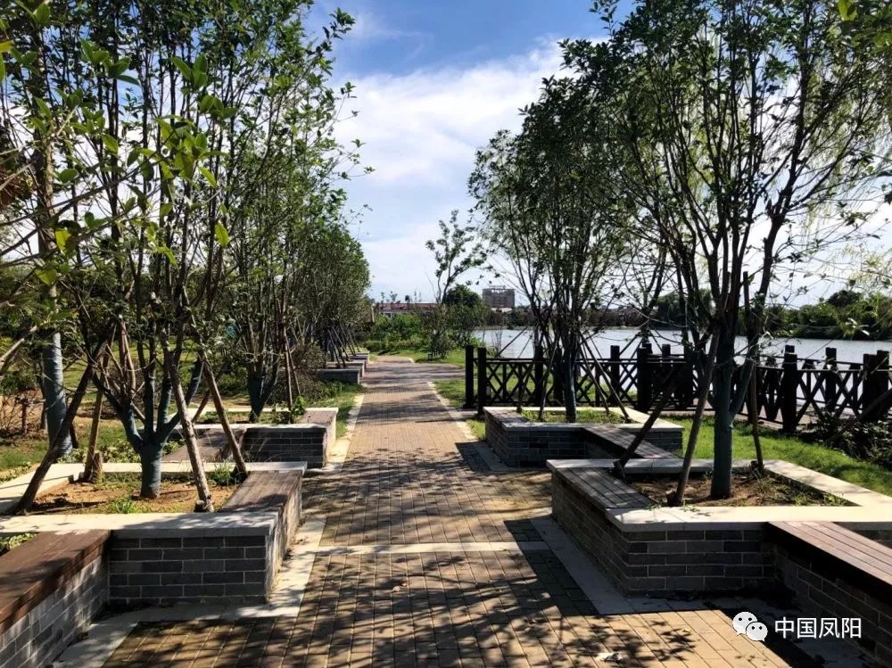 凤阳又新添一处公园风景如画位置就在