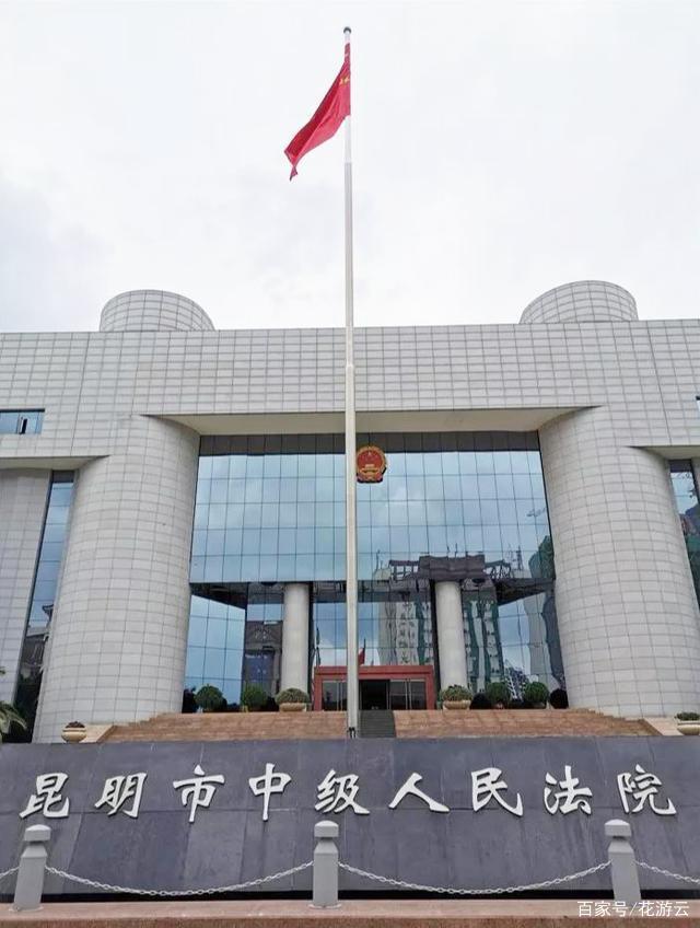 国内首例"百合种球涉嫌走私案"在昆明中院开庭审理_云南