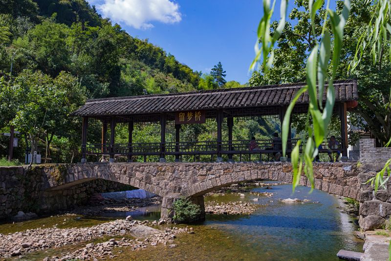 诸暨这个村全面爆发补助200万全省仅2个