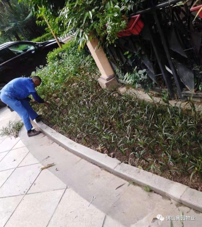 园区保洁绿化