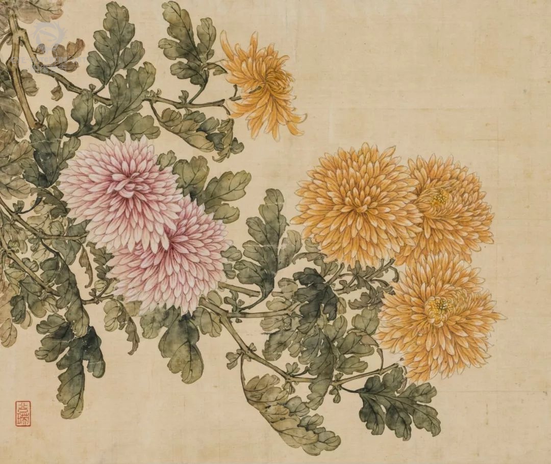 菊花入画尽显神韵画菊专家带你提前领略深秋之美