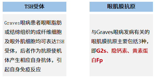 核酸及脂质,生成硫代巴比妥酸反应物,8羟化脱氧鸟苷(8