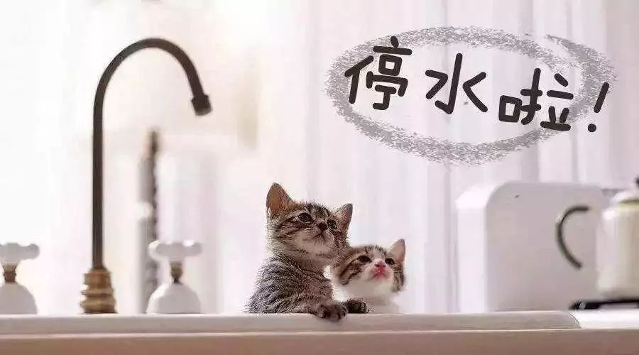 南部流马镇停水三天,居民受不了了!