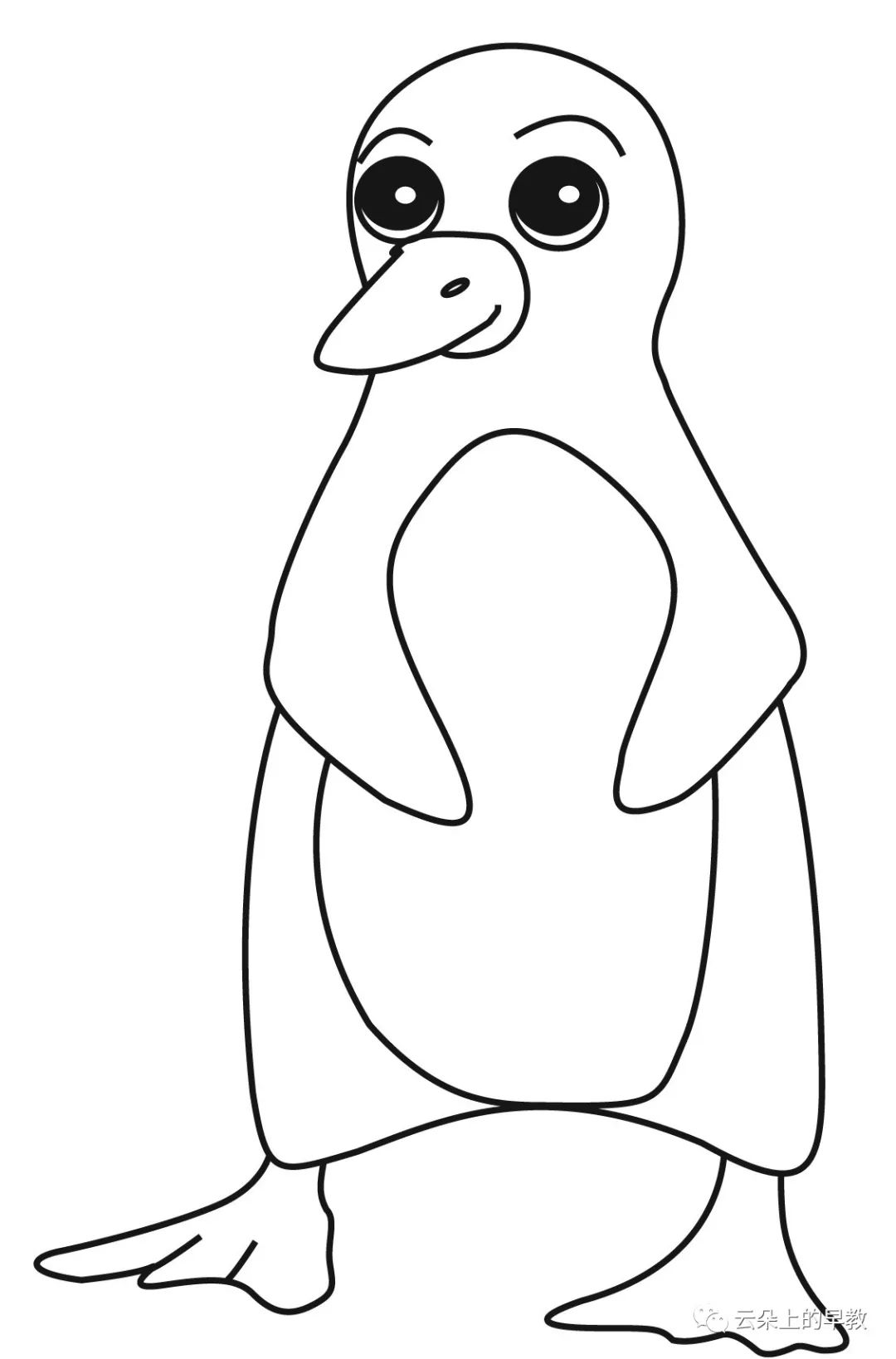 第4周主题小班苹果apple大班澳洲企鹅penguin