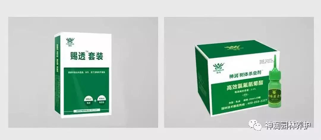 园林植保分享 | 九月份病虫害防治