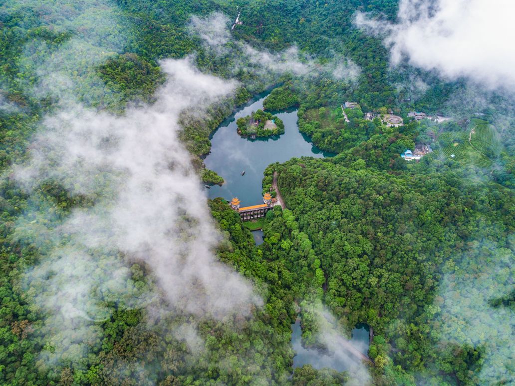 肇慶這份生態成績單在市委,市政府的帶領下我市牢固樹立綠水青山就是