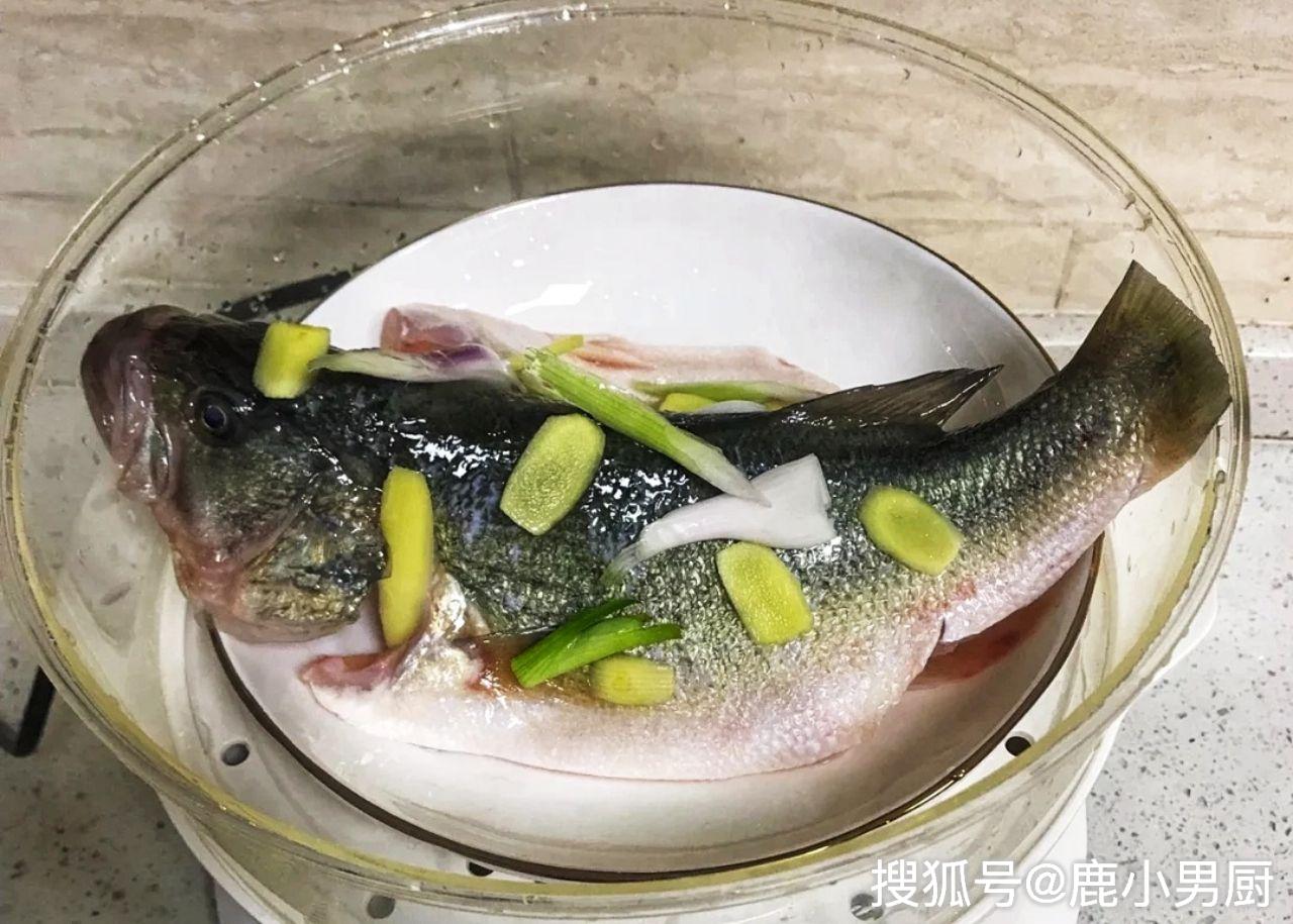 清蒸鱸魚好吃有技巧牢記4個訣竅鱸魚肉更鮮嫩滑無腥味