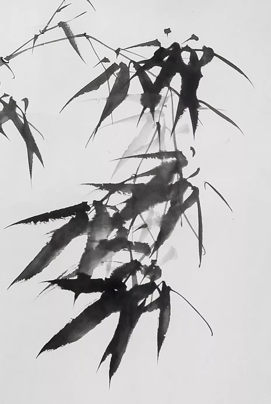 徐渊明画竹是一生的追求