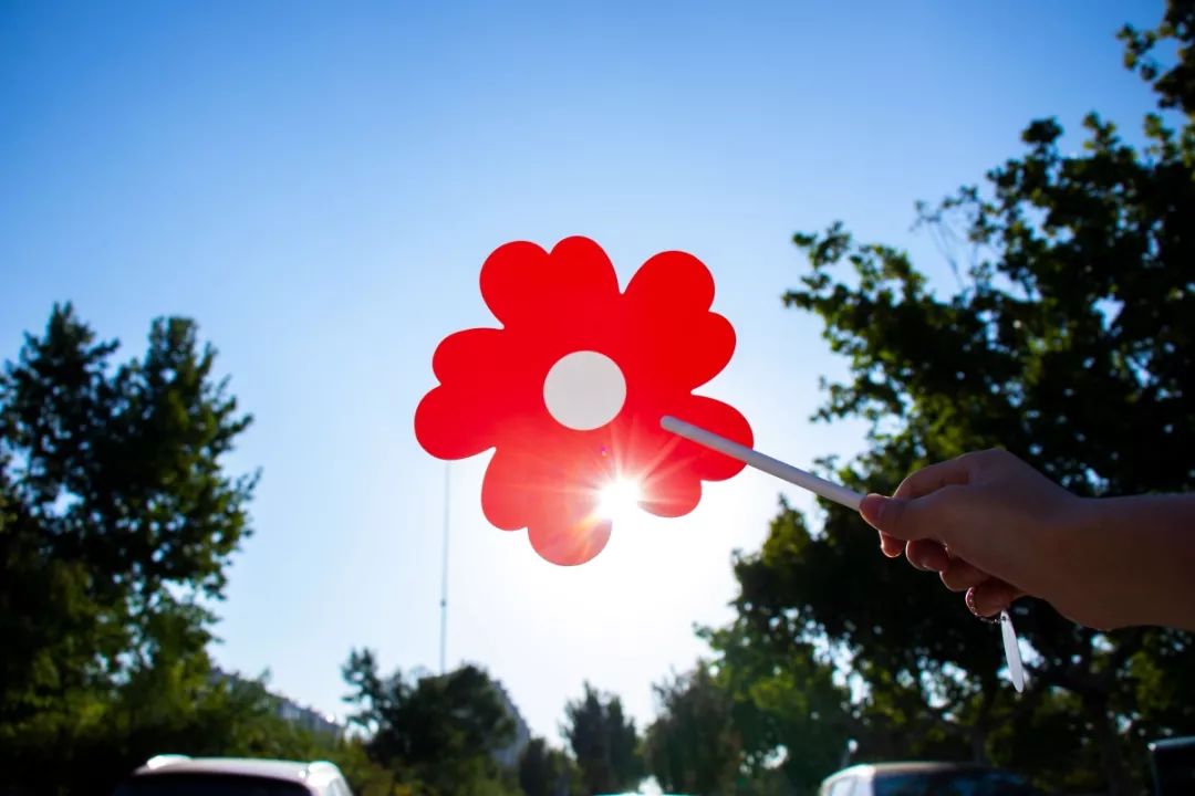艾玛,别数啦,拢共就来了一朵萌萌哒小红花,这可不是一般的小红花啊,小