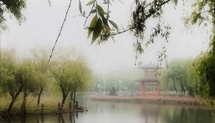 古诗词欣赏清平乐烟轻雨小▏纳兰性德