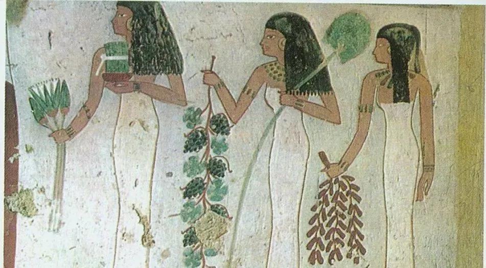 有在脖子上悬挂睡莲做成的花环(将植物编制成网状).