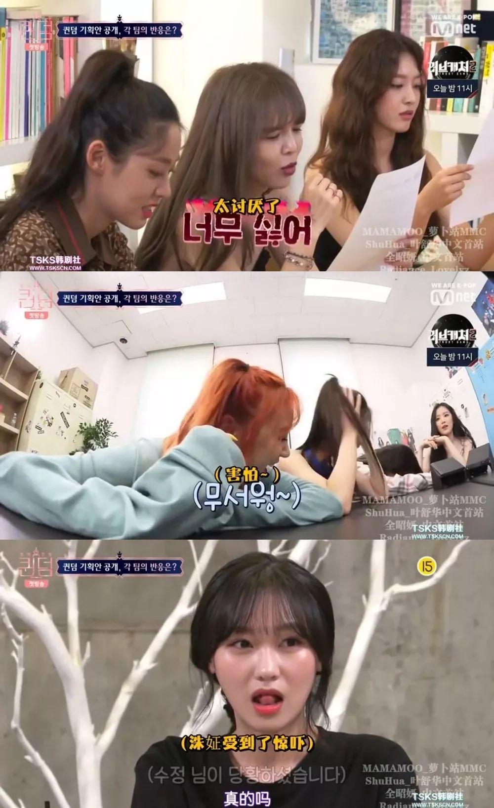 当红女团集体参加一档节目,竟然没开撕?