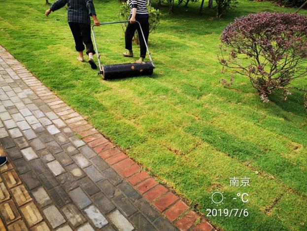 刷"颜值"提"气质"_草坪