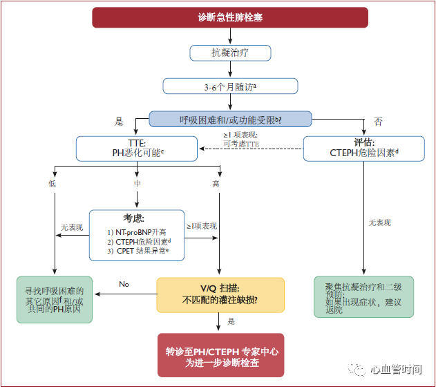 肺栓塞思维导图图片