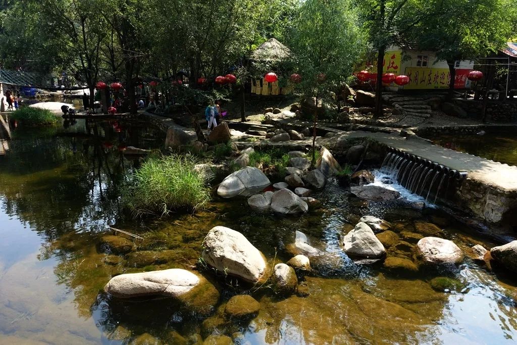 休闲采摘98日博山石鳖湾游玩猕猴桃采摘