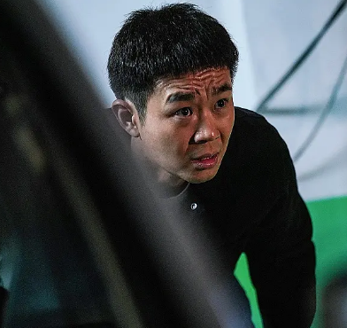 这个演员就是董成鹏,他在《铤而走险》这部电影里担任的是男一号.