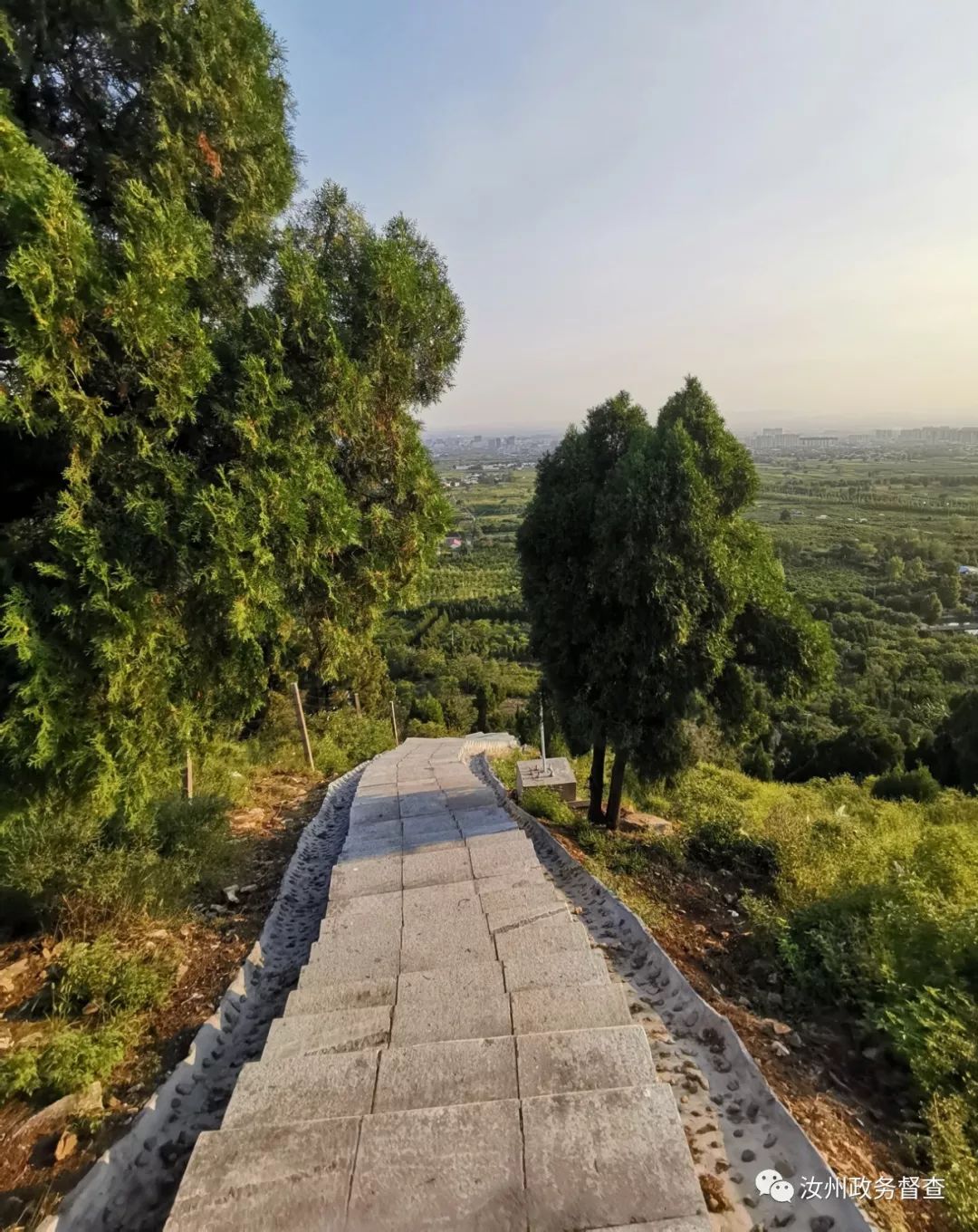 龙山山顶公园项目建设的怎么样最新进展情况来了