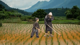 280_158gif 动态图 动图