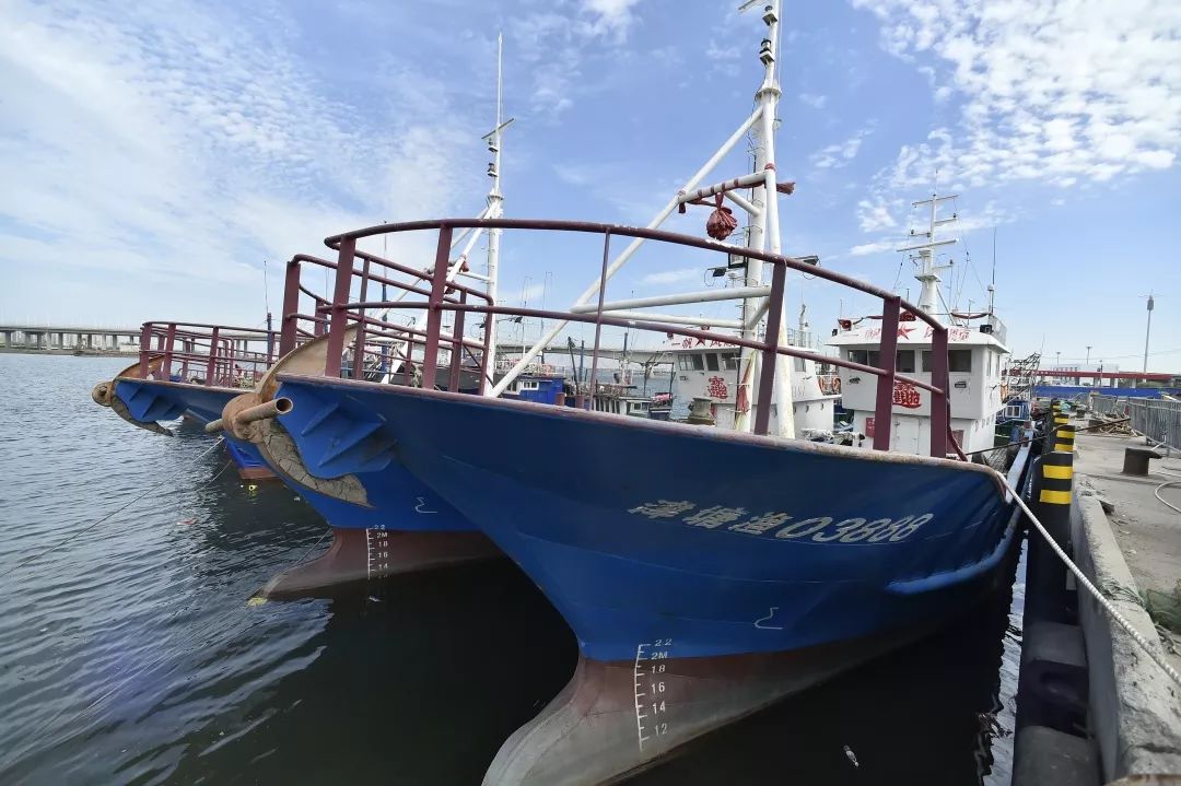 渔民赵师傅和船员们将数张长达几十米的渔网装上船后,又把渔船里里外