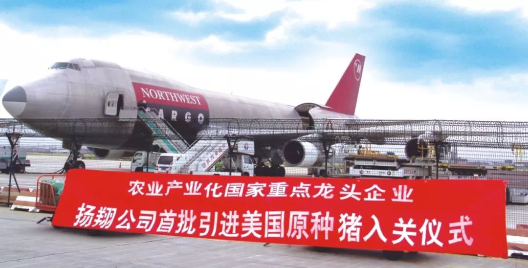 ▼以下是9月1日扬翔秀博猪精检测报告,检测结果合格