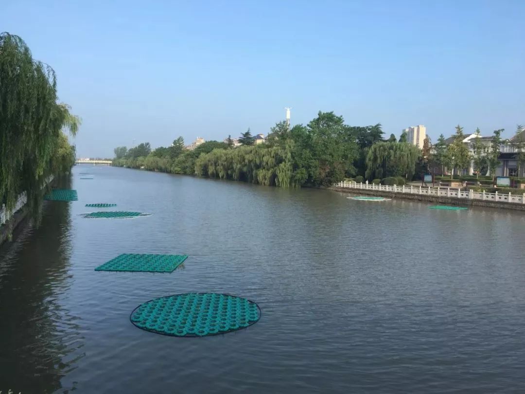 涟水建设生态浮岛着力打造涟河水生态景观
