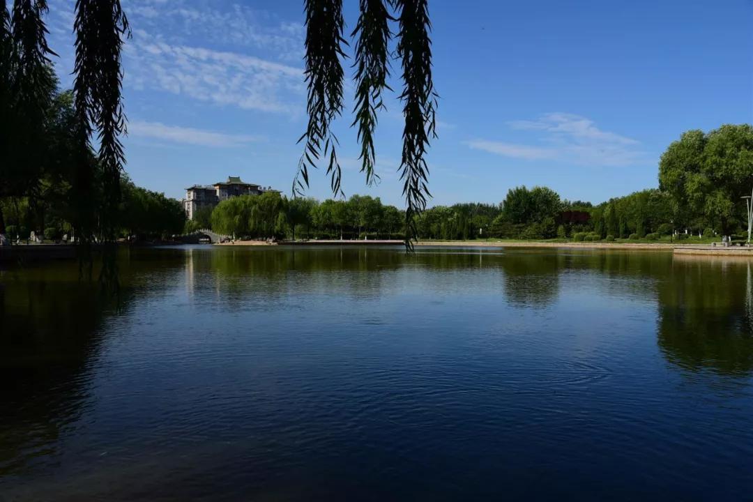 走,一起邂逅曲周版的天空之城!_版权