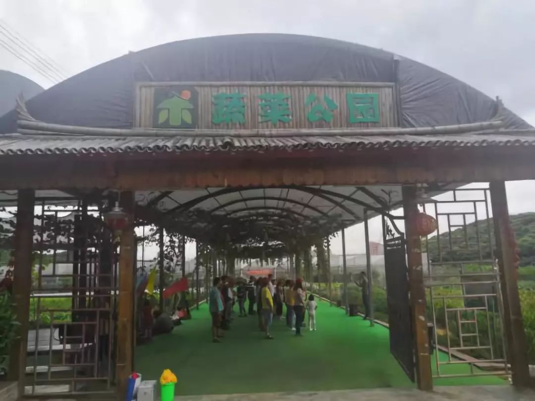 菜博士农场如何让菜博士飞入更多的寻常百姓家