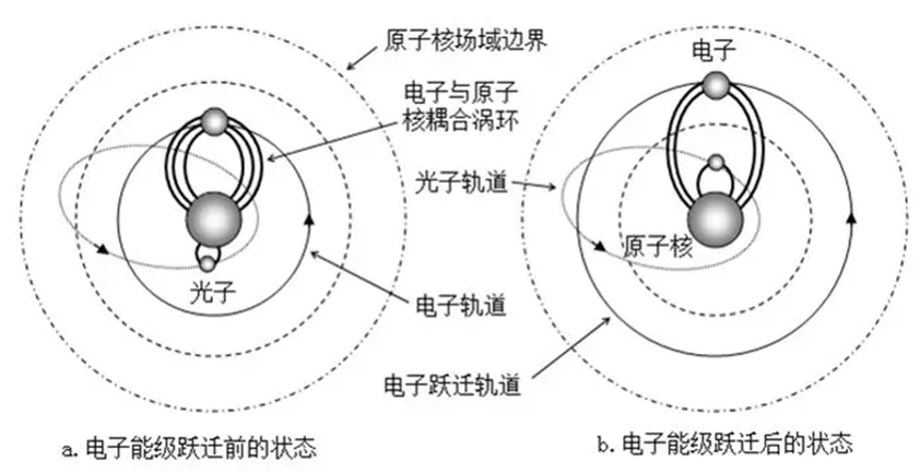 其在以原子核为涡核的场线中具有相对于电子的较小的涡通量(光子轨道