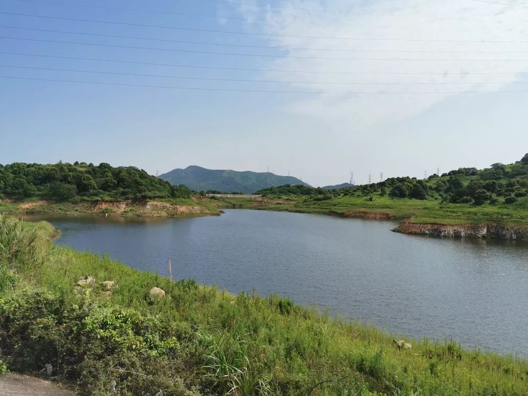 民生实事半年报丨水库建设农村生活污水治理岱山水环境综合治理又有新