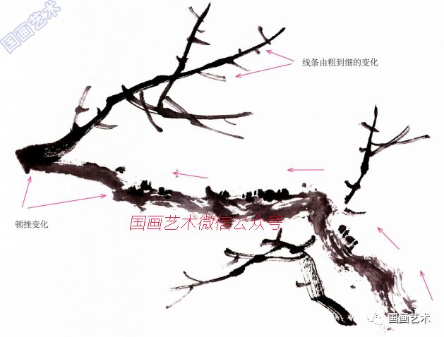 梅花枝干的画法示范↓↓↓画梅先要画好干与枝.