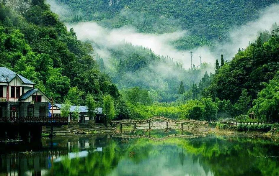 离开城市的喧哗烟雨蒙蒙竹林听雨让心享受片刻的宁静