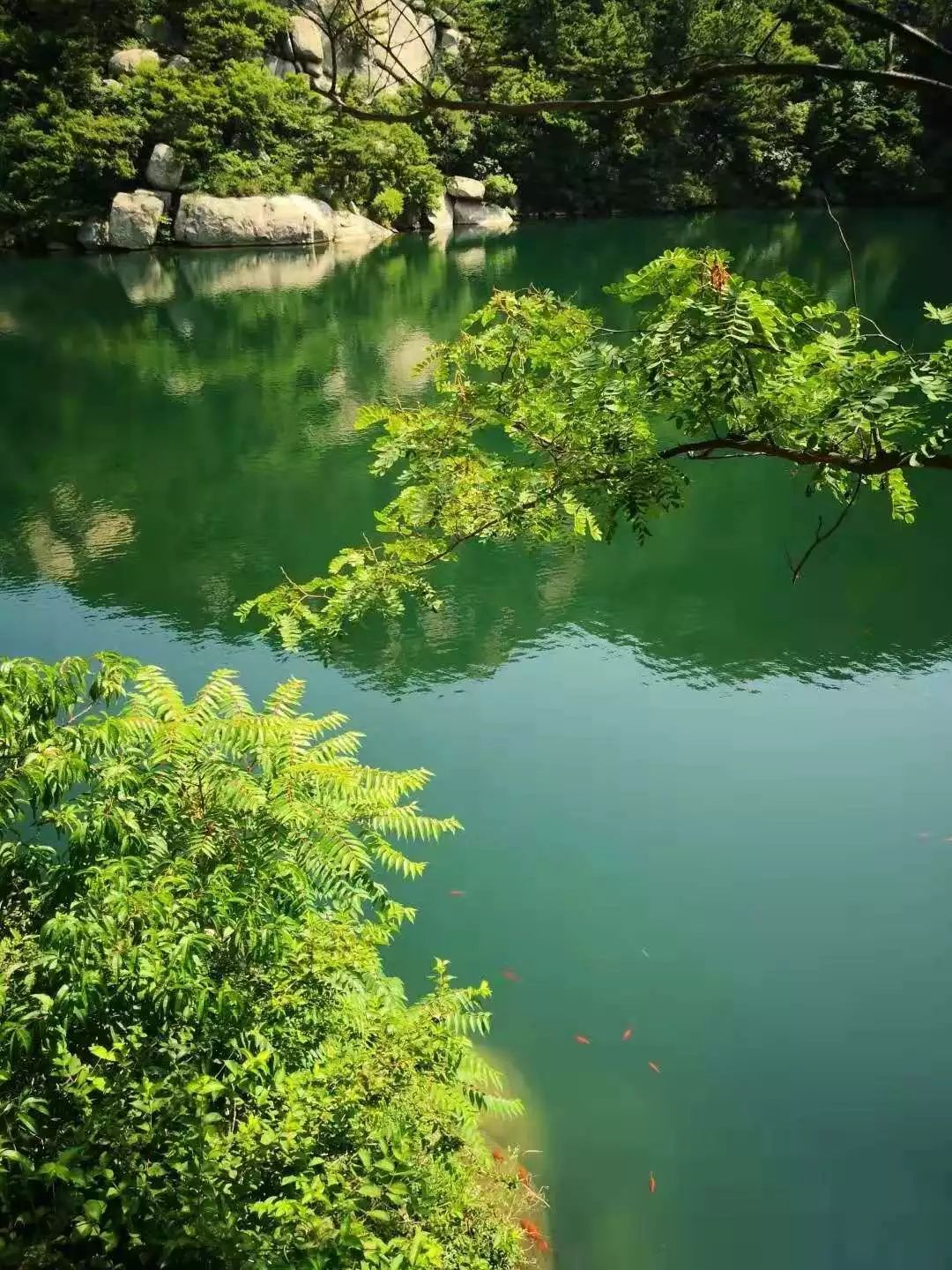 【走遍嶗山】南天門一八水河一龍潭瀑一上清宮一瑤池,登山徒步一日遊