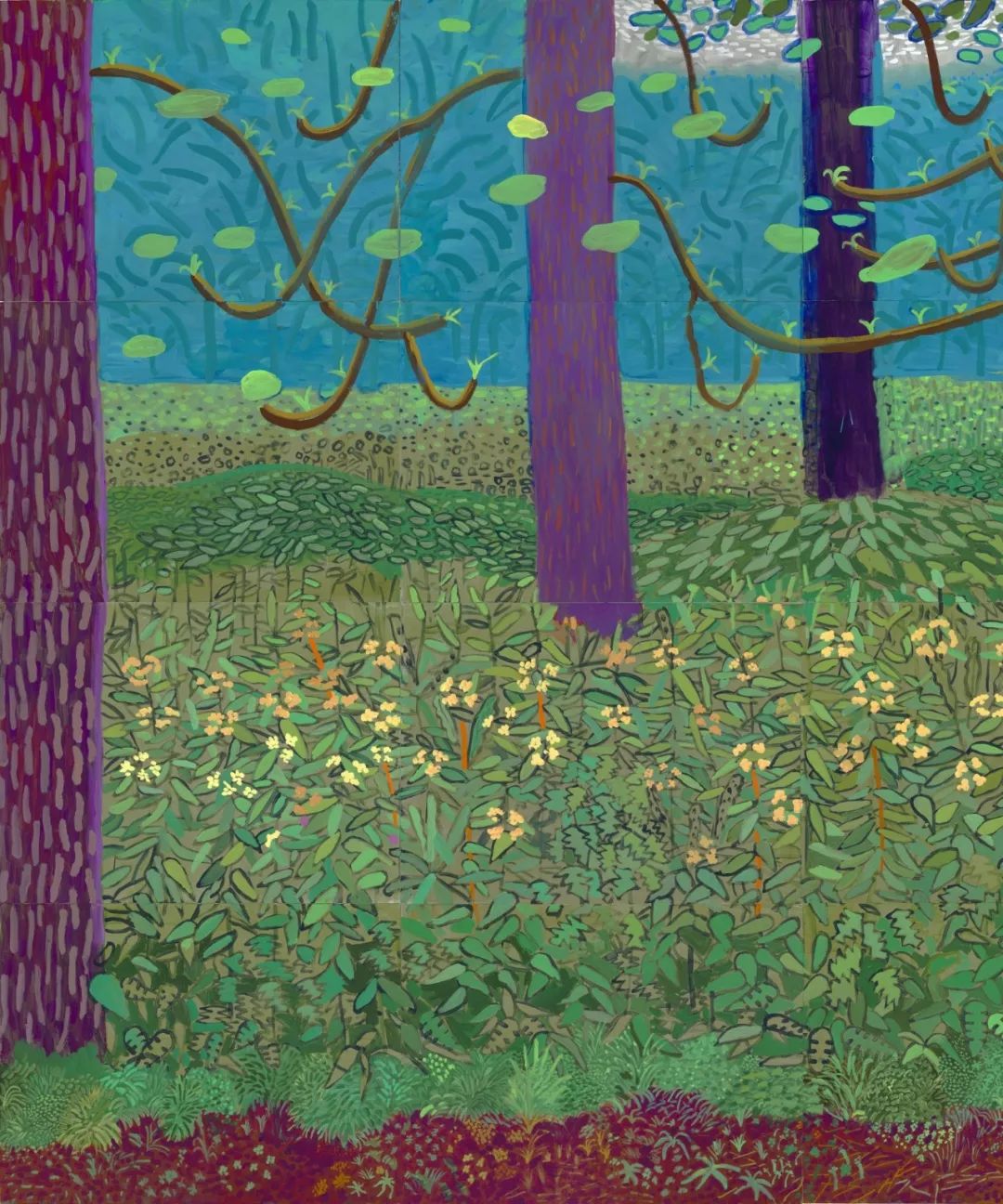 画仓一切都是错觉丨大卫霍克尼