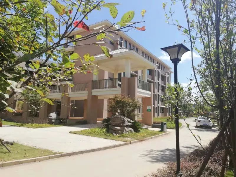 南平一中武夷新区初中部今天正式开学啦