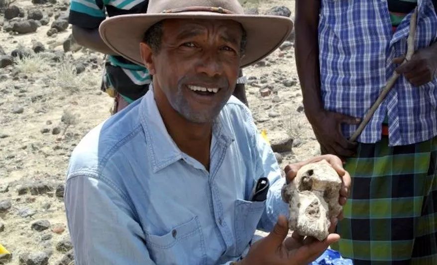 专家发现380万年前人类祖先双眼皮还有胡子