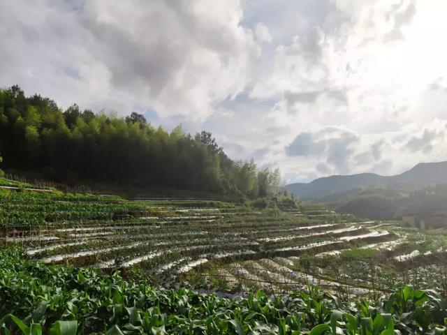 百校千生闽东行寻径探路筑梦富竹富竹村乡村振兴专项社会实践