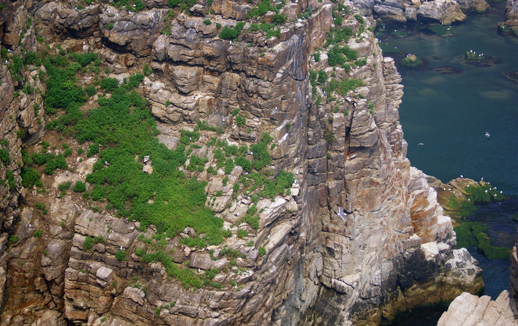 中国唯一蛇岛2万条蛇专人服务,定期送淡水给蛇喝,游客:好幸福