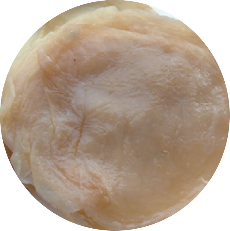 它们的形状很容易区别:海蜇皮是又大又圆的一张皮;而海蜇头大多为块状