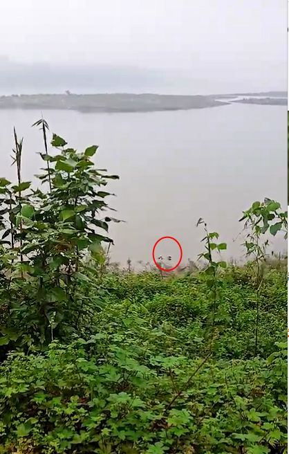宜宾长江边发现一具浮尸!_江安